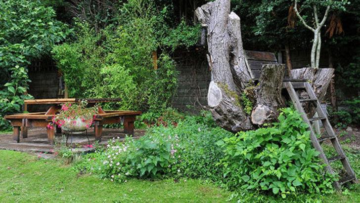 Koca bataklığı gizli bir vahaya dönüştürdü G3