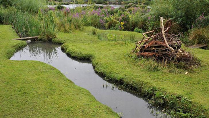 Koca bataklığı gizli bir vahaya dönüştürdü G4
