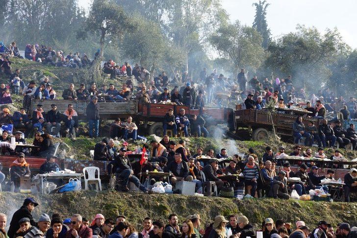 Deve güreşi sezonu başladı G4