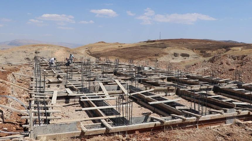 Siirt&rsquo;te barınak &ccedil;alışmaları s&uuml;r&uuml;yor