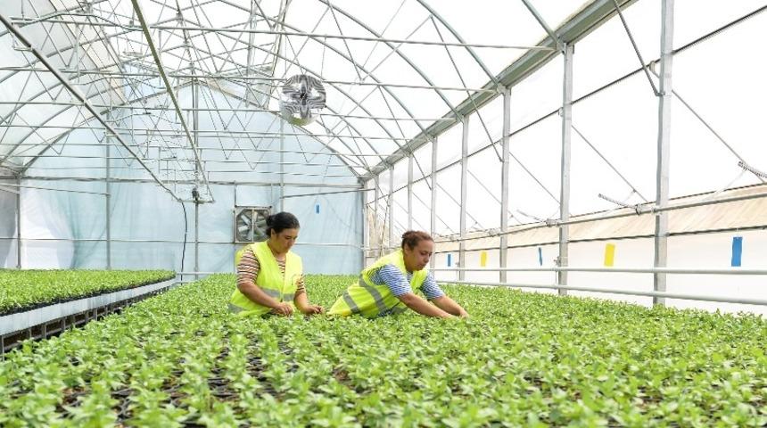 2 milyon 743 bin &ccedil;i&ccedil;ek Antalya&rsquo;yı g&uuml;zelleştiriyor