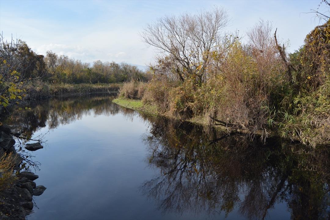 Gaziantep'teki Karasu &Ccedil;ayı renk değiştirdi 
