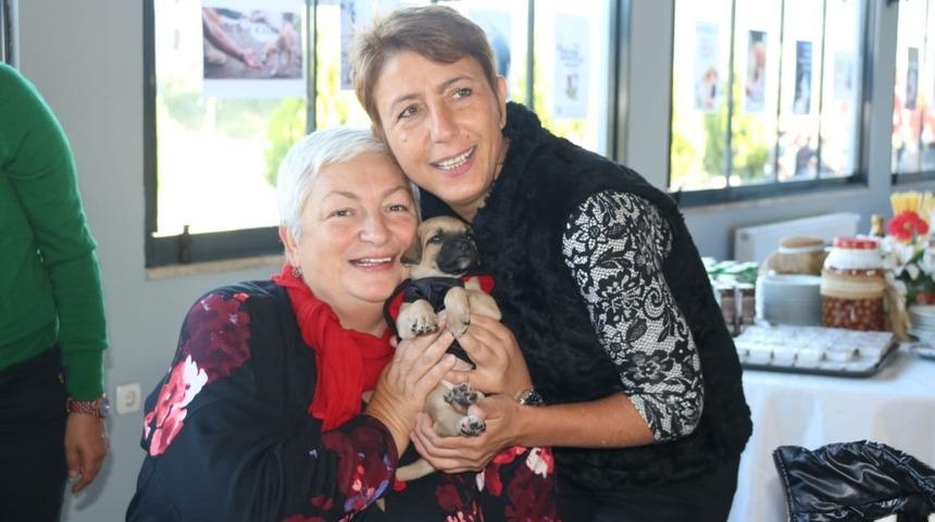 Hayvanseverlerden &lsquo;duyarlı olun&rsquo; &ccedil;ağrısı