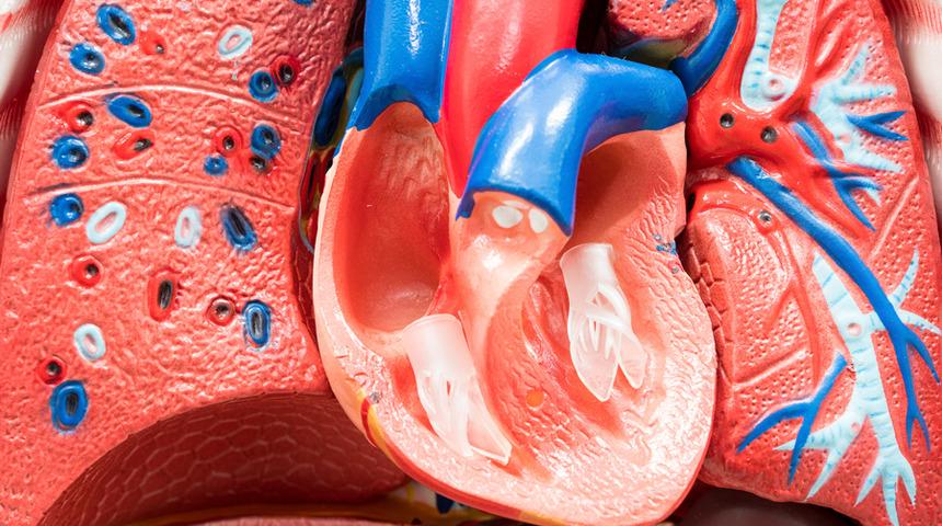 Minimal invaziv aort cerrahisi avantajları nelerdir?