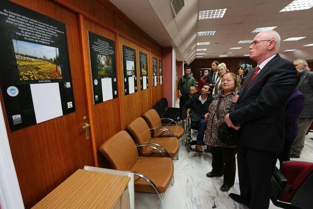 3 Aralık D&uuml;nya Engelliler G&uuml;n&uuml; 2