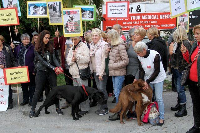 Fethiye’de iki köpeğin zehirlenerek öldürülmesi protesto edildi