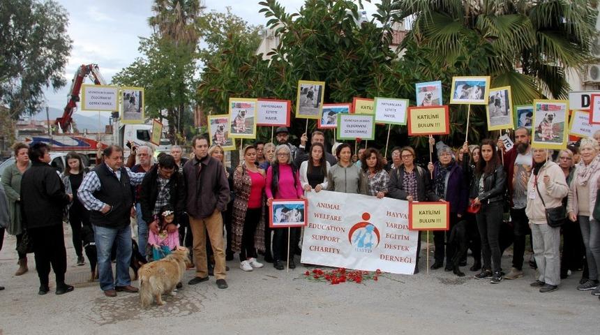 Fethiye&rsquo;de iki k&ouml;peğin zehirlenerek &ouml;ld&uuml;r&uuml;lmesi protesto edildi