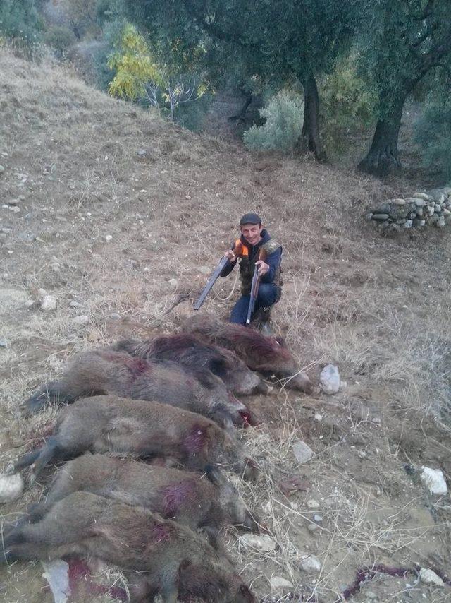 Aydın’da avcılar domuzla mücadele sezonu başlatıldı