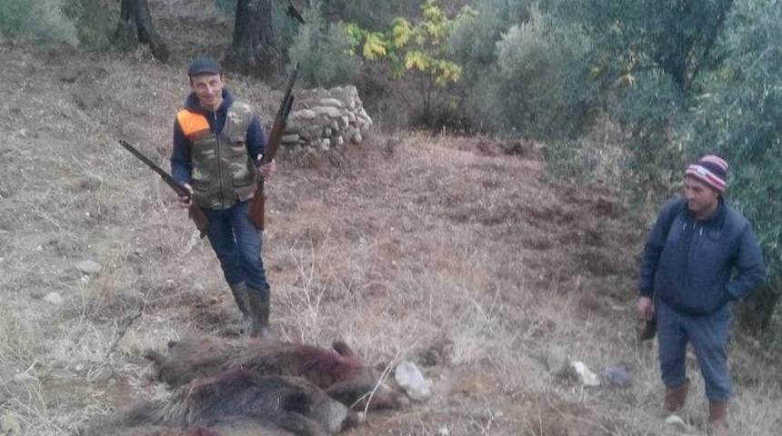 Aydın&rsquo;da avcılar domuzla m&uuml;cadele sezonu başlatıldı