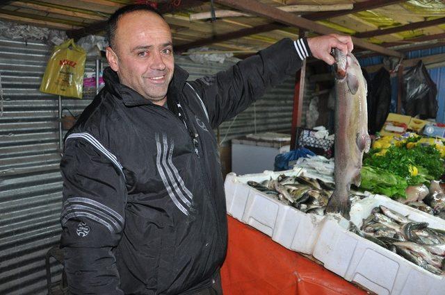 Karadeniz balığı Yüksekova tezgahlarında