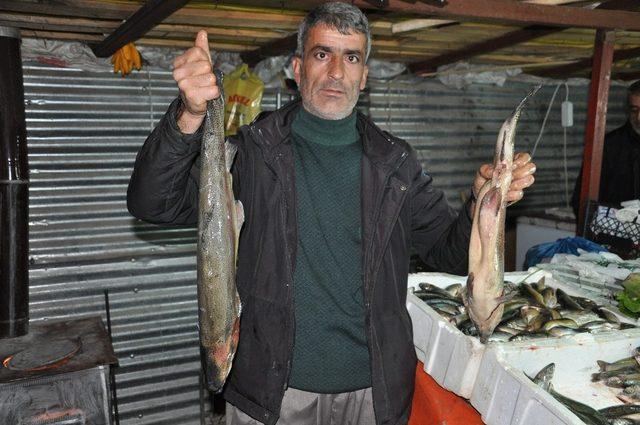 Karadeniz balığı Yüksekova tezgahlarında