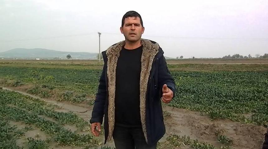 Ispanak tarlada kaldı