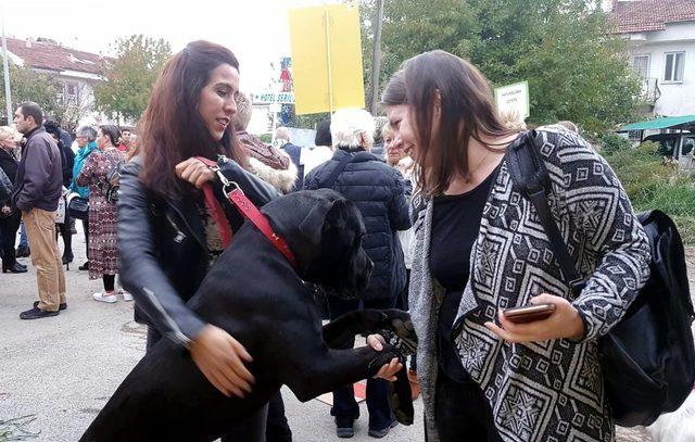 Fethiye'de köpeklerin zehirlenmesine tepki