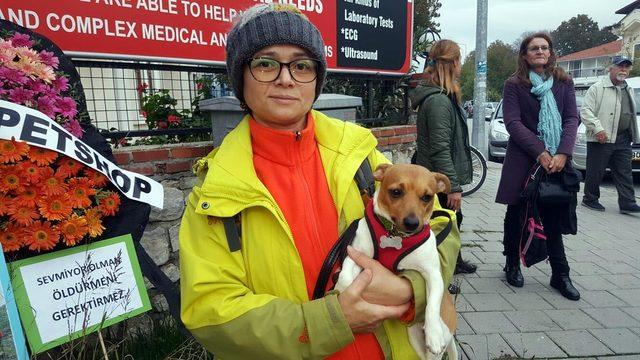 Fethiye'de köpeklerin zehirlenmesine tepki