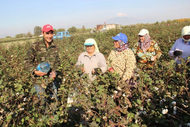 Pamuk işçilerine maniyle su dağıtıyor G2