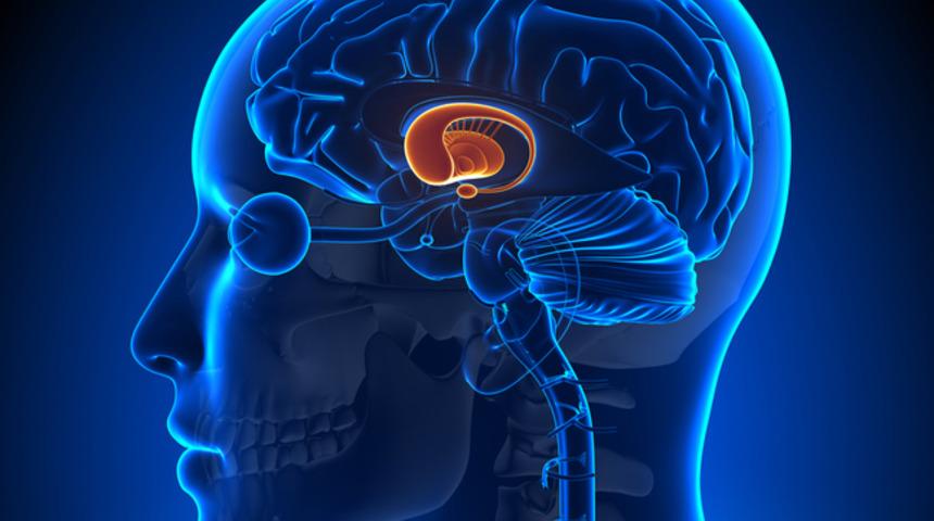 Hormon d&uuml;zensizliği Hipopituitarizm nedeni olabilir!