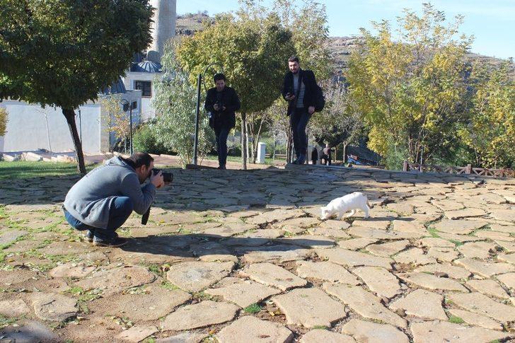 Siverekli fotoğraf severler Eğil ve Ergani’yi gezdi G1