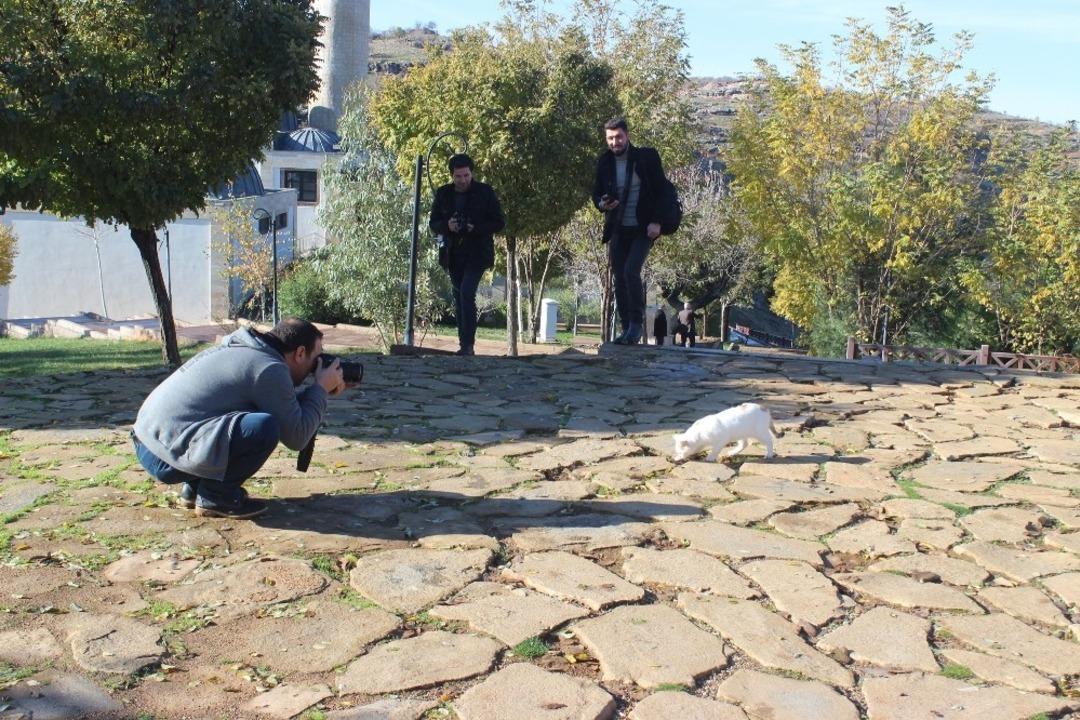 Siverekli fotoğraf severler Eğil ve Ergani&rsquo;yi gezdi