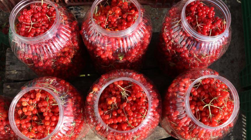 Anadolu'nun şifalısını kaynatıp suyunu i&ccedil;erseniz...