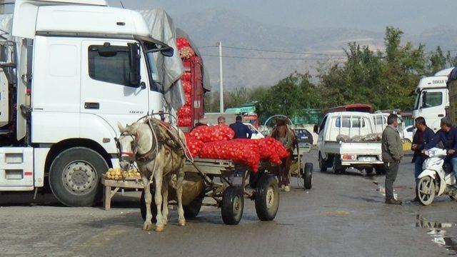 Patates ve soğan fiyatlarındaki artış at arabacılarını da olumsuz etkiledi