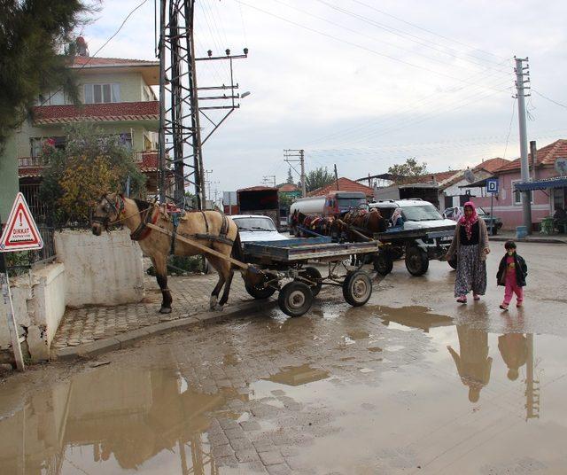 Patates ve soğan fiyatlarındaki artış at arabacılarını da olumsuz etkiledi