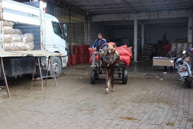 Patates ve soğan fiyatlarındaki artış at arabacılarını da olumsuz etkiledi