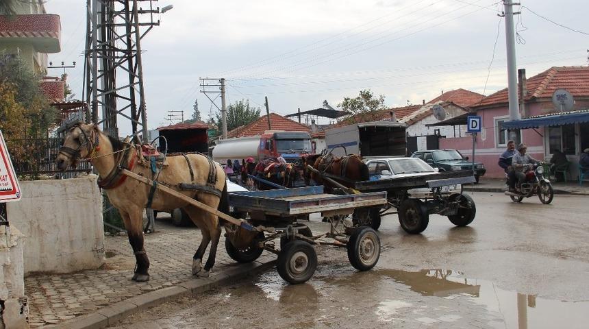 Patates ve soğan fiyatlarındaki artış at arabacılarını da olumsuz etkiledi