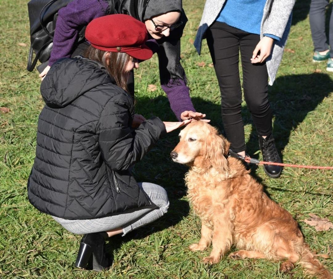 Giresun&rsquo;da &rsquo;Strese karşı patiler&rsquo; etkinliği