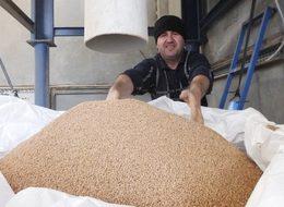 Kömüre alternatif zeytin çekirdeği Yunanistan'a ihraç ediliyor