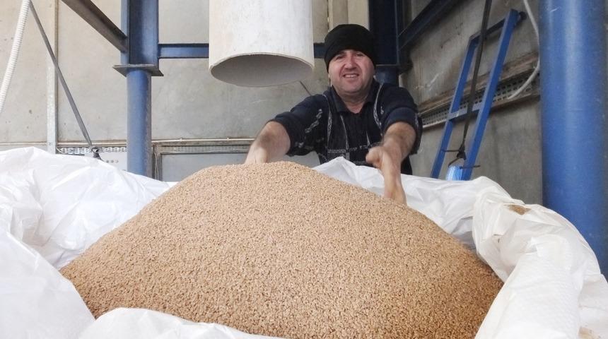 Kömüre alternatif zeytin çekirdeği Yunanistan'a ihraç ediliyor
