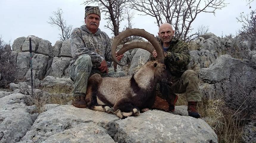 109 Santim uzunluğunda boynuzu olan ke&ccedil;i avlandı