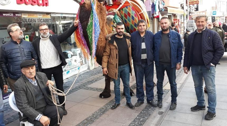 Ege ve Marmara&rsquo;nın en g&uuml;&ccedil;l&uuml; develeri Ayvalık&rsquo;ta yarışacak