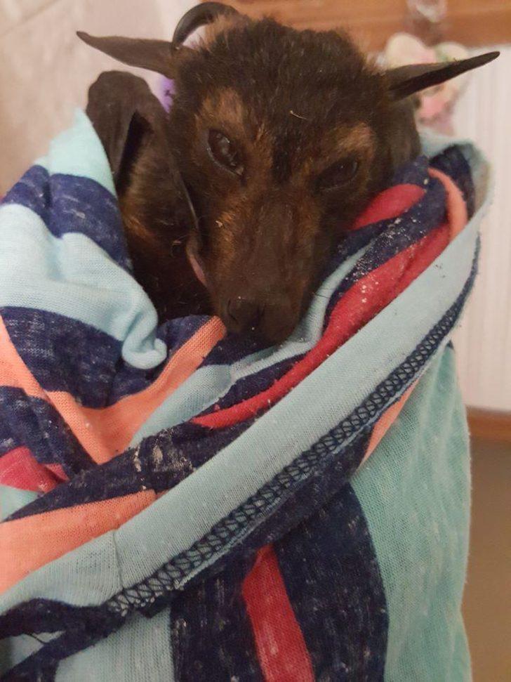 Korku filmi gibi! Bir sabah uyandı ve gördüklerine inanamadı G4