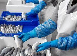 Balık devi Agromey konkordato talep etti!