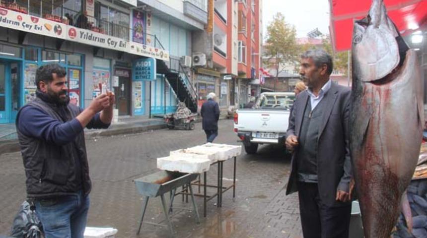 2 metrelik orkinos ve kılıç balığını gören telefona sarılıyor