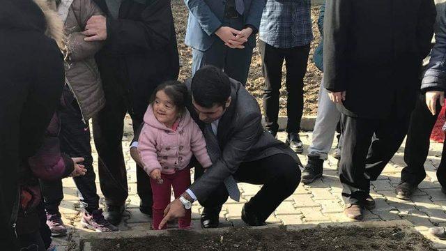 Gökçebey’de öğrenciler okullarda lale diktiler