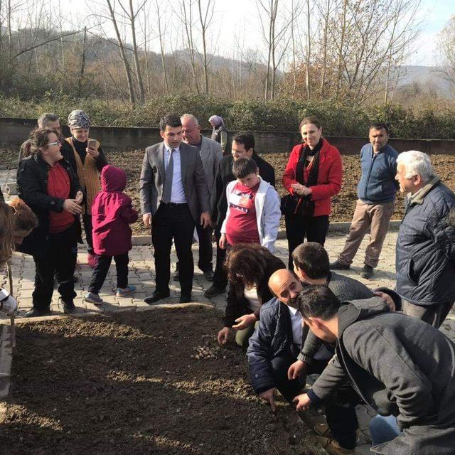 Gökçebey’de öğrenciler okullarda lale diktiler