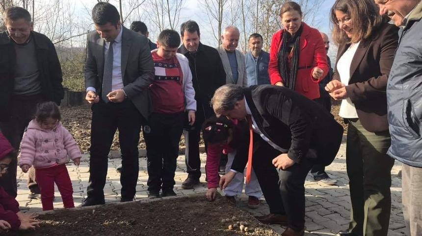 G&ouml;k&ccedil;ebey&rsquo;de &ouml;ğrenciler okullarda lale diktiler