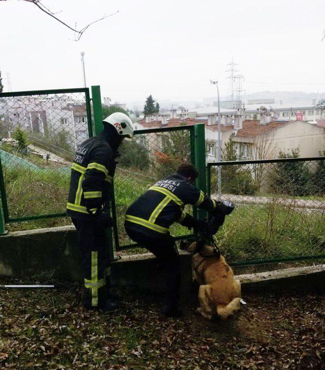 Mahsur kalan kedi ve köpeğin imdadına itfaiye ekipleri yetişti