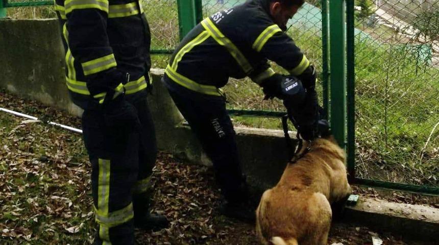 Mahsur kalan kedi ve k&ouml;peğin imdadına itfaiye ekipleri yetişti