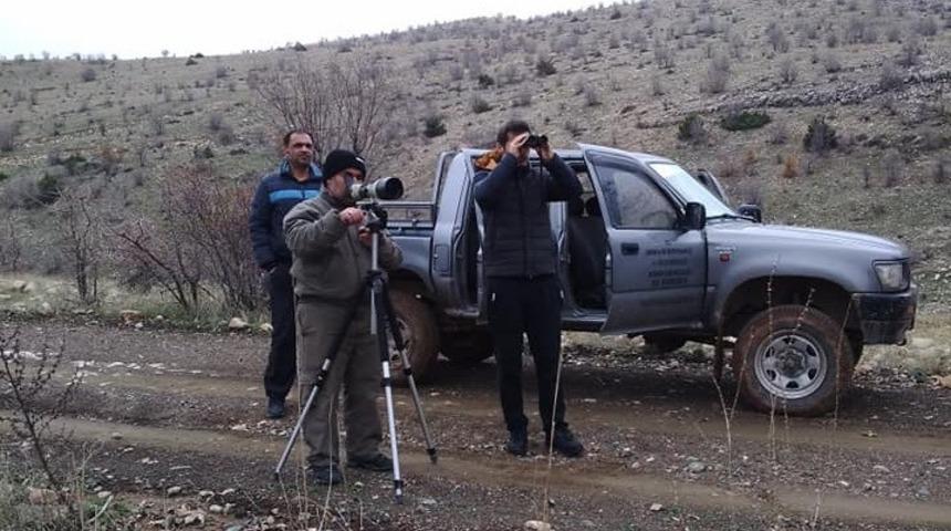 Yaban ke&ccedil;ilerinin envanter &ccedil;alışmaları başladı