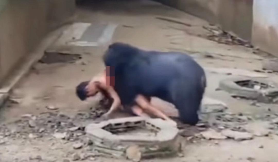 Ayıyla dalga ge&ccedil;menin bedelini ağır &ouml;dedi! Canlı adamı b&ouml;yle yedi