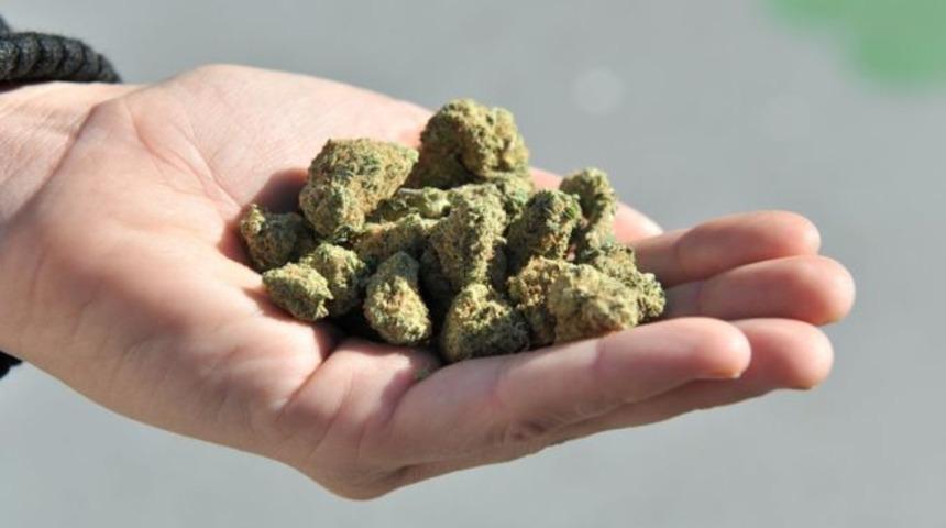 Avrupa’da esrarı tamamen serbest bırakan ilk ülke belli oldu