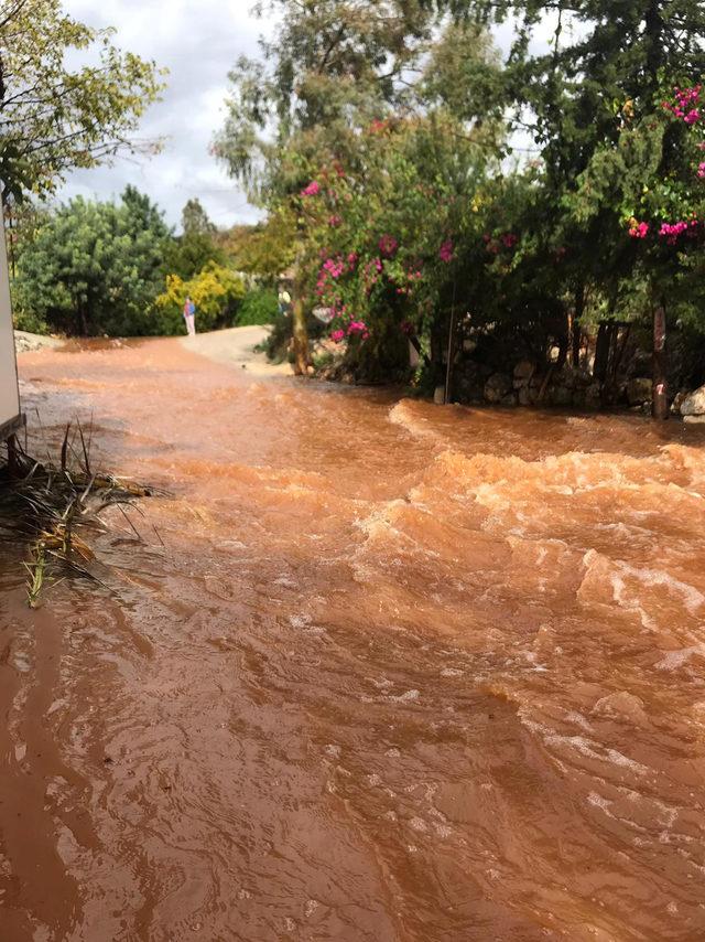 Demre'de şiddetli yağış seralarda zarara yol açtı