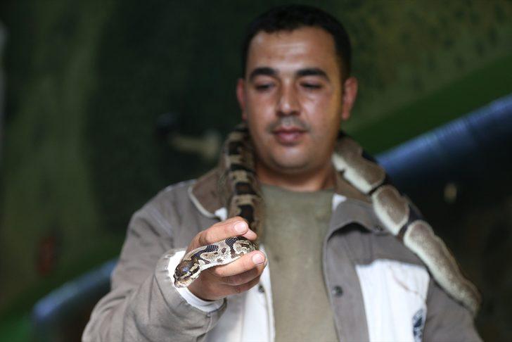  Mesleğini bıraktı, yılan bakıcısı oldu  G1