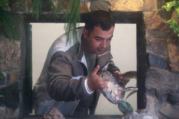  Mesleğini bıraktı, yılan bakıcısı oldu  G3