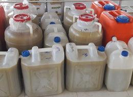 Zeytinyağı fiyatı dibe vurdu, fırsatçılara gün doğdu