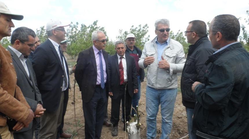 Ceviz Odaklı Kalkınma ve Gelişim Projesi KAE&Uuml;&rsquo;si tarafından hazırlanıyor