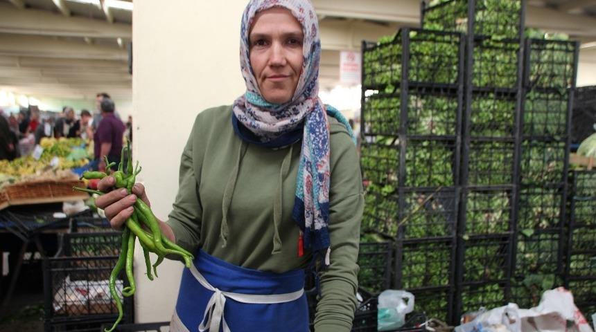 Yeşil sivri biber bu yıl da el yakıyor