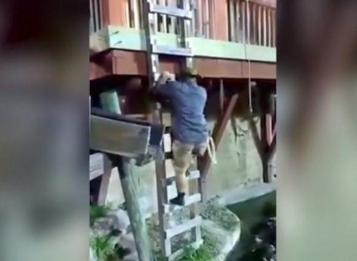 Yürekleri ağza getiren olay! Timsahların arasına düştü G1